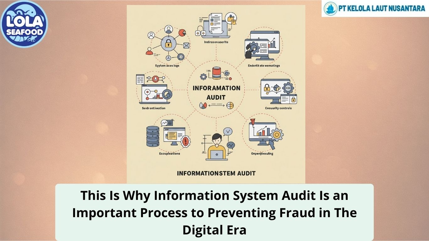 This Is Why Information System Audit Is an Important Process to Preventing Fraud in The Digital Era